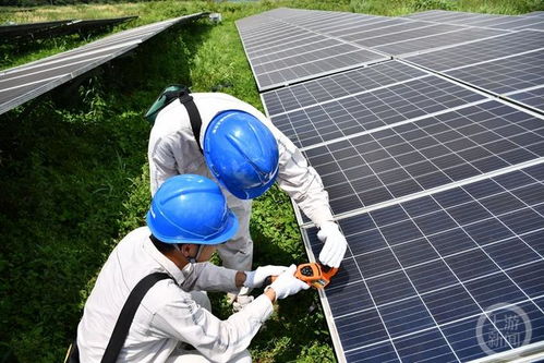 烈日下他们日巡上万块光伏板 保障电力迎峰度夏